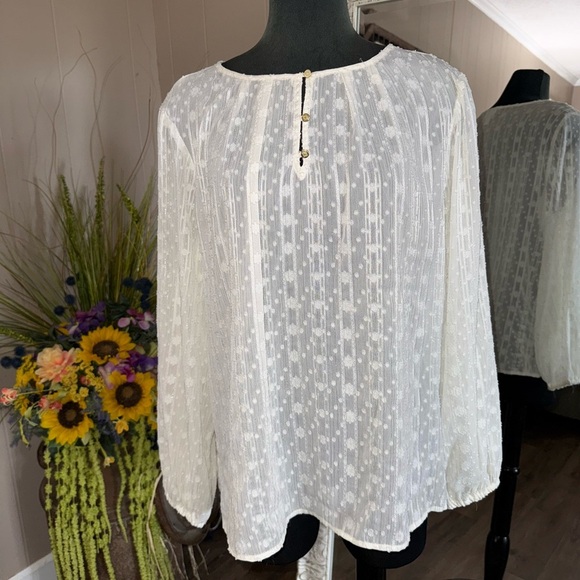 Liz Claiborne • Ivory Textured Sheer Blouse - Picture 7 of 13